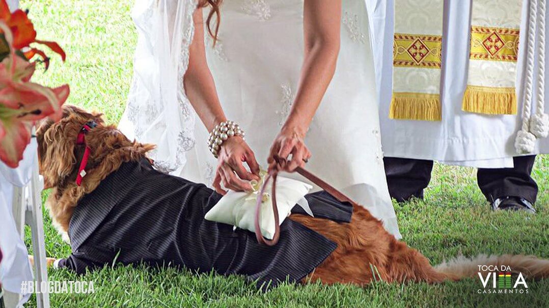 Cachorro em Cerimônia de Casamento