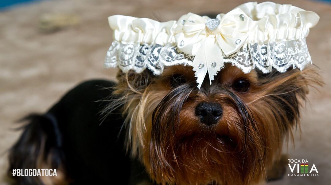 Cachorro em Cerimônia de Casamento
